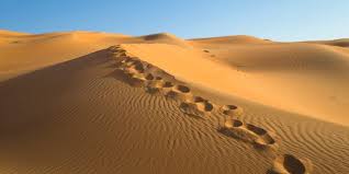 dunes sables