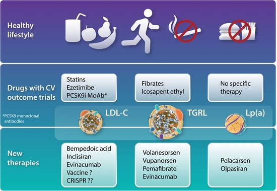 Anti PCSK9 : les autres indications potentielles