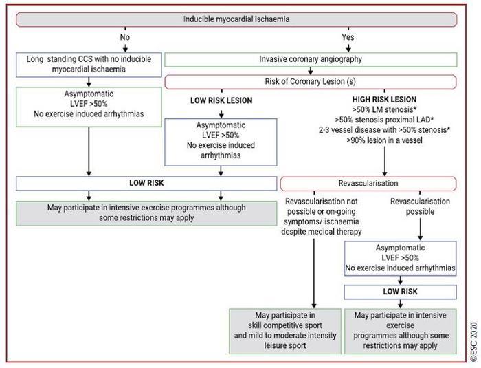 esc 2020 sport algorithme decisionnel syndrome coronarien chronique sport tableau 2