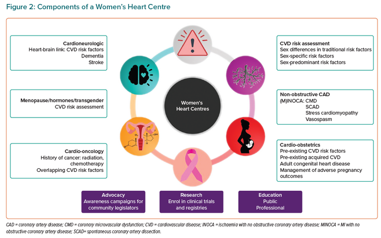figure2 components of a womens
