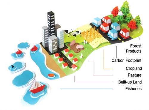 L’empreinte au secours de la cécité environnementale