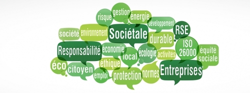 RSE et MANAGEMENT DURABLE