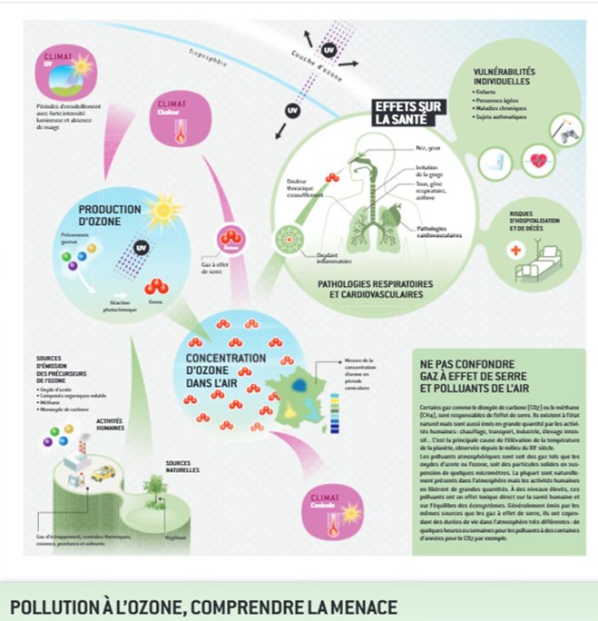 MEDVASC - Pollution et Climat