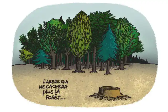 la deforestation c2a9 geluck casterman 2018