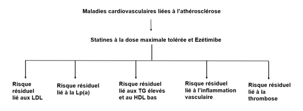 maladies cardiovasculaires liees a l atherosclerose reference