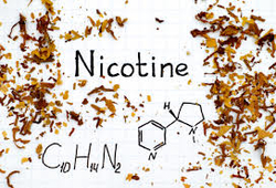 SCOOP :  la nicotine protégerait du COVID-19 ? 