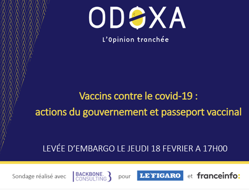 odoxa