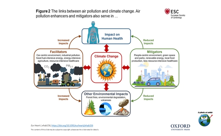 polluclicli