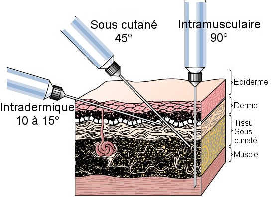 schema vaccination