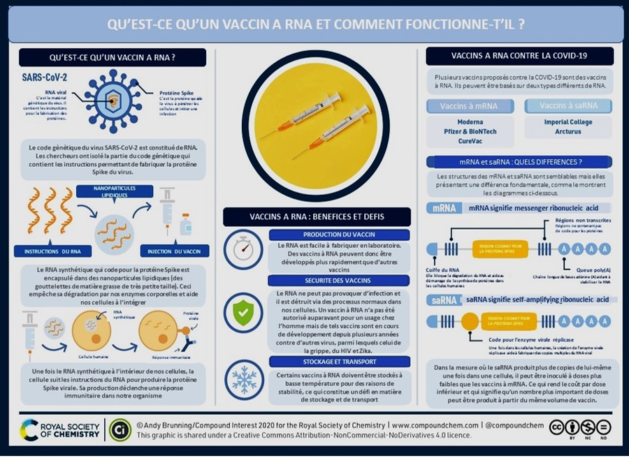 Vaccin à RNA : comment ça fonctionne ? 