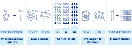 standard vaccine dev process2x