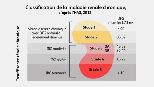 ASPIRINE  et IRC