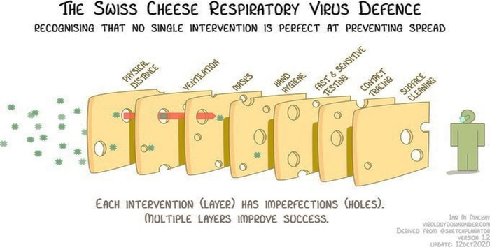 Swiss Cheese : Covid-19