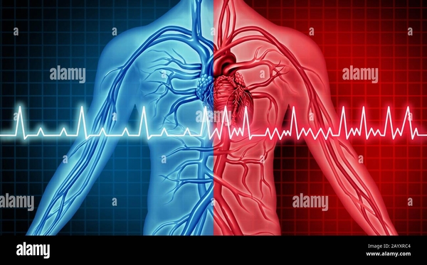 trouble de la fibrillation auriculaire probleme cardiaque et ecg comme une attaque cardiaque coronarienne avec un rythme d organe irregulier et normal comme maladie de gene thoracique 2ayxrc4
