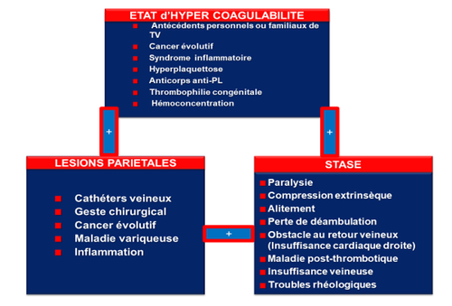 La COVID-19 aux sources de la THROMBOSE